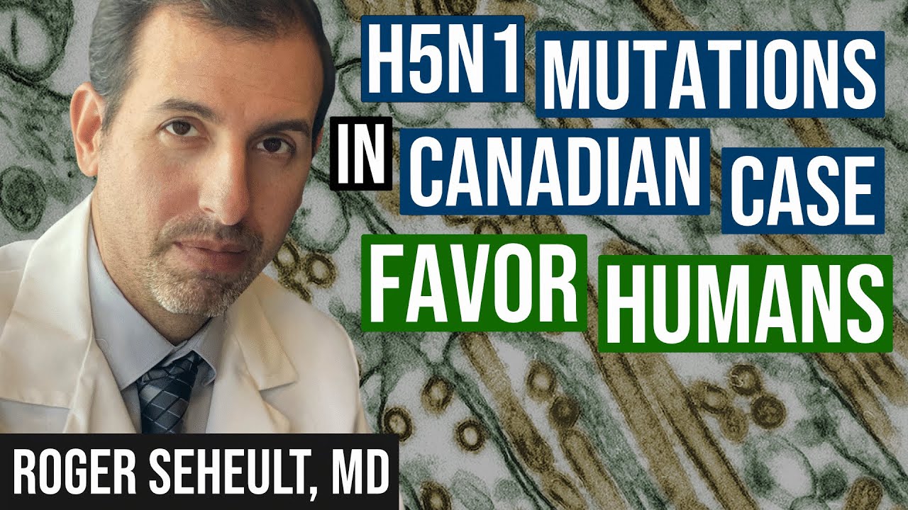 H5N1 Mutations Detected in Canadian Case Favor Human Transmission