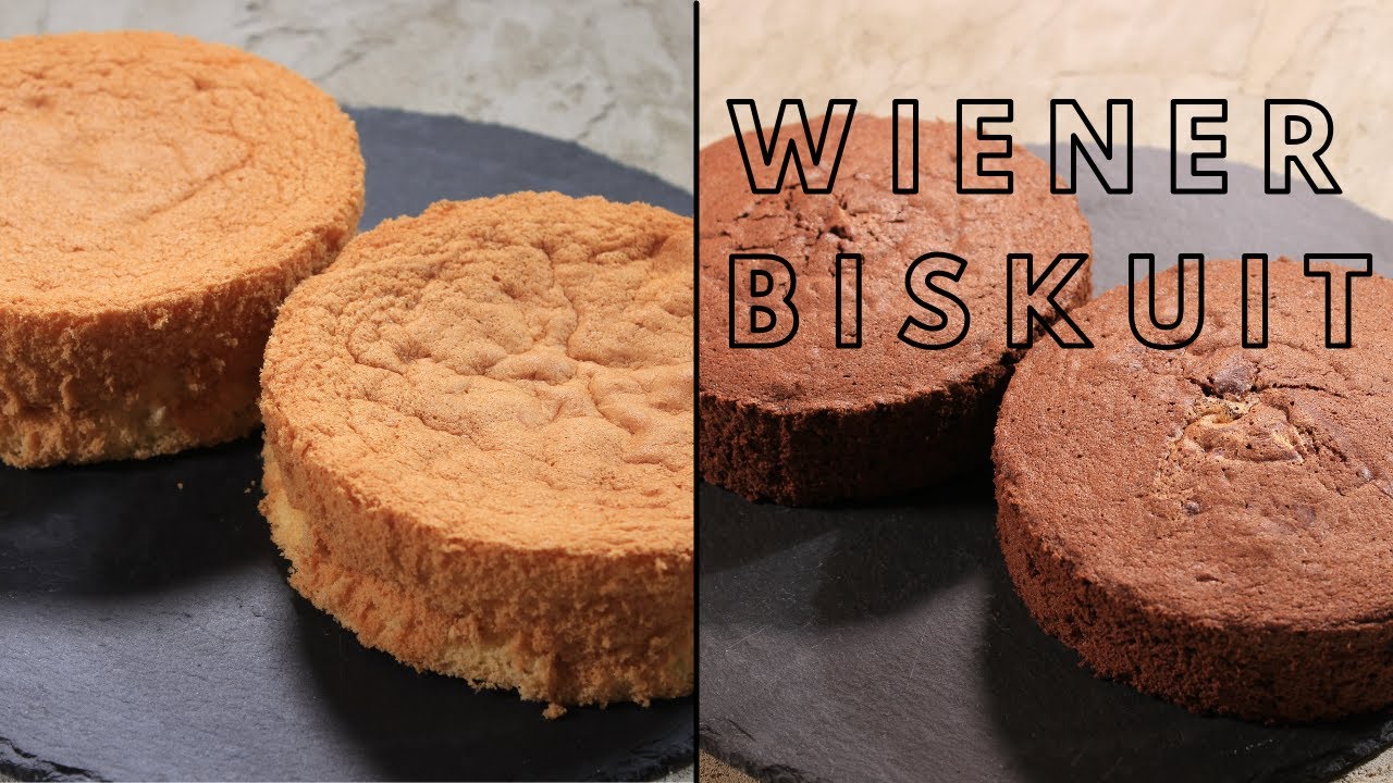 Der beste Biskuit für Torten | Wiener Biskuit hell und dunkel | Tortenboden mit Vanille und Kakao