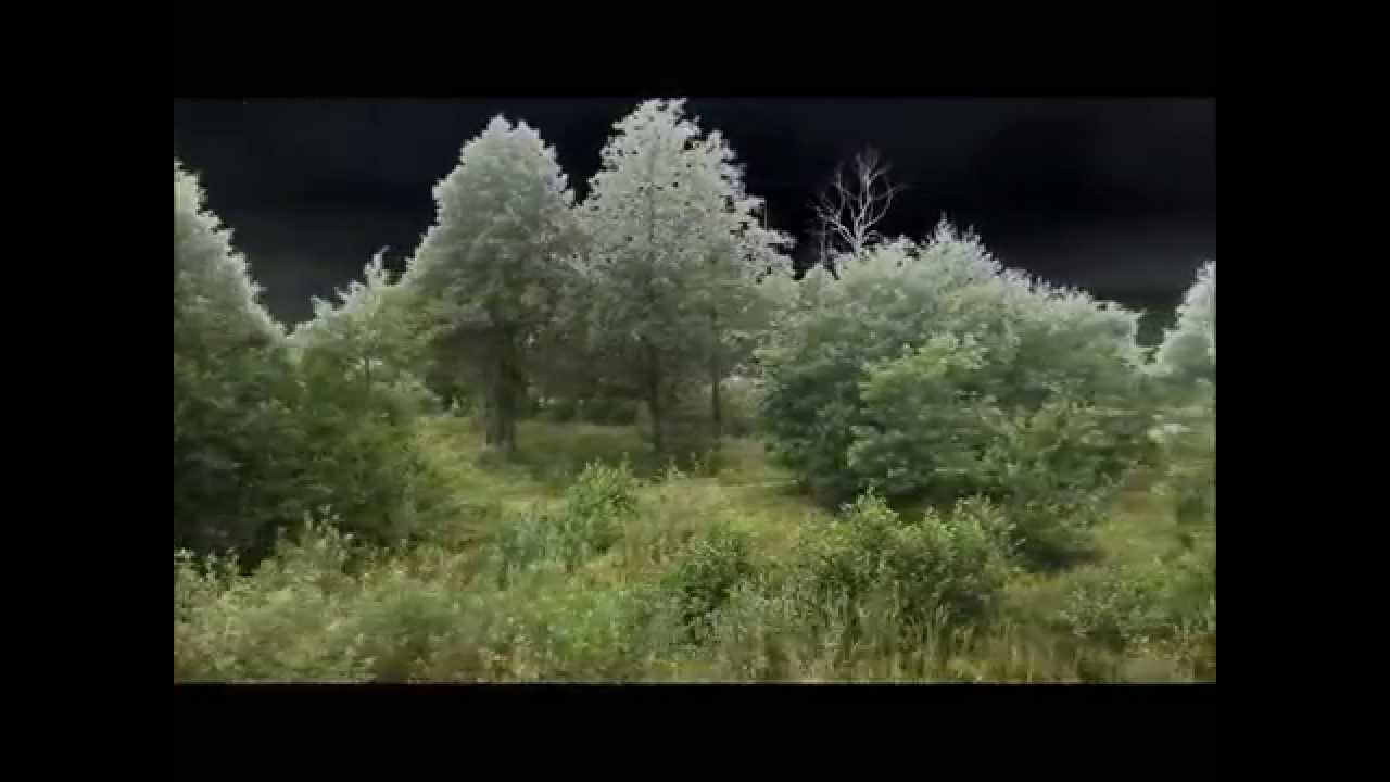 Solaryzacja - Pociągi