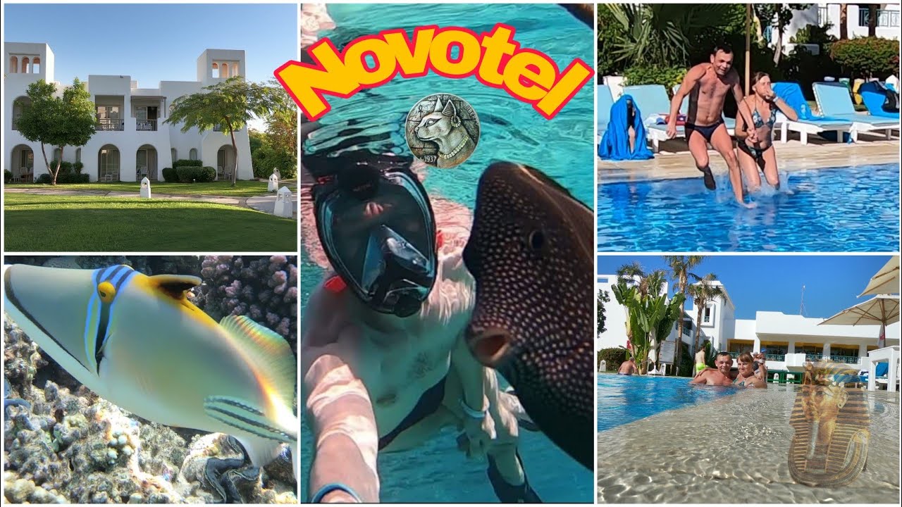 Египет.Novotel.Рифы пляжа Novotel 2019 год