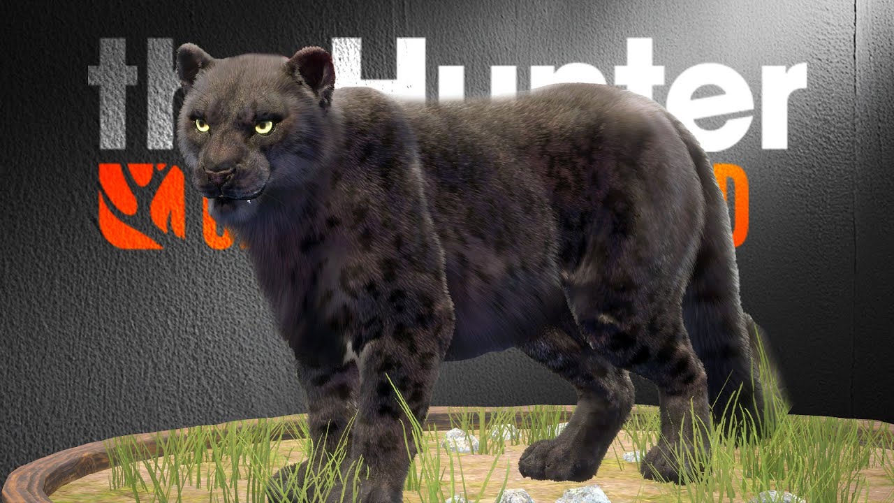MELANISTISCHER Schneeleopard?! | theHunter Call of the Wild