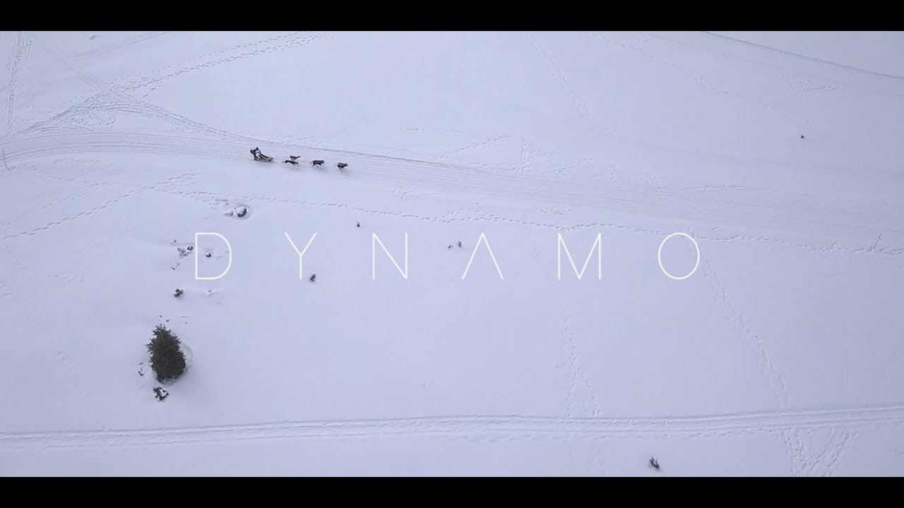 Stefan Goris - DYNAMO full docu