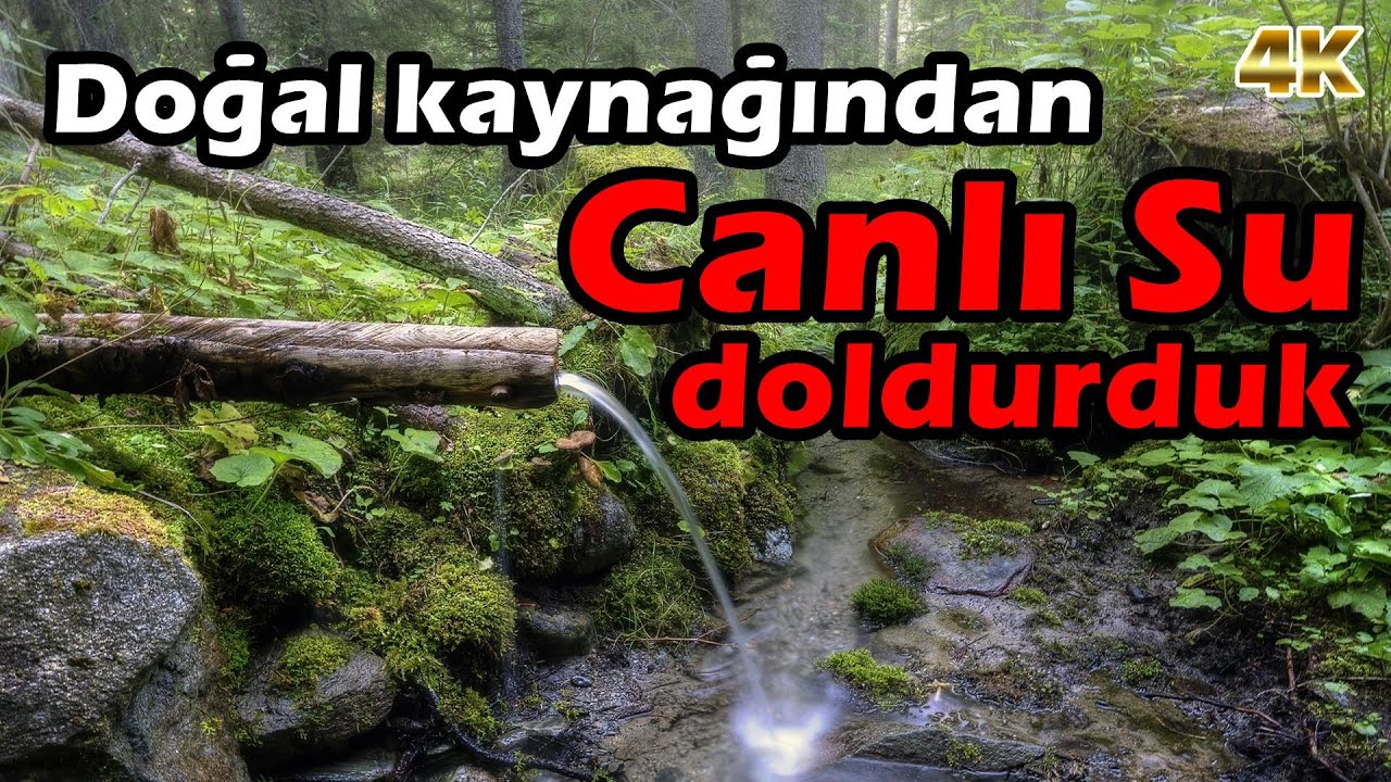 DOĞAL KAYNAĞINDAN CANLI SU | İ&ccedil;tiğimiz Sular Ne Kadar Sağlıklı | K&ouml;yde Doğal Yaşam ŞEHİRDEN KA&Ccedil;ANLAR