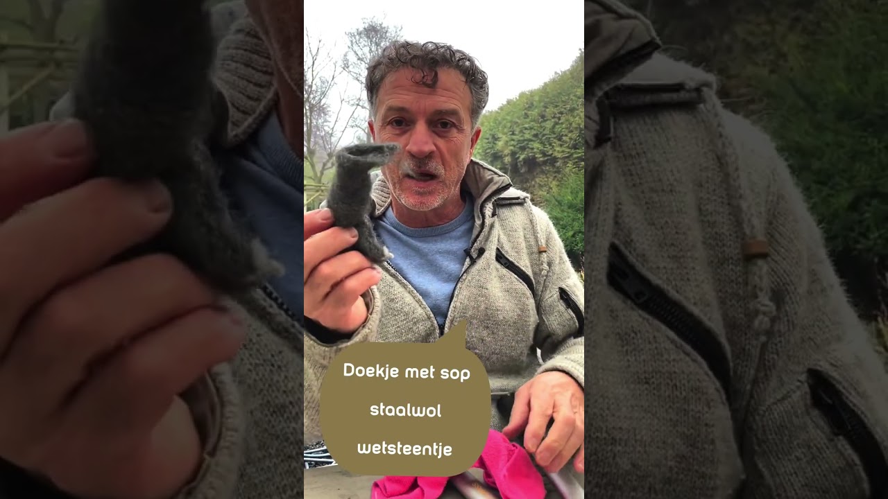 Hoe onderhoud je je snoeischaren | #shorts  | Tuinmanieren