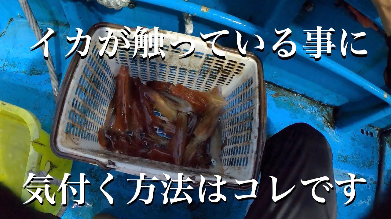 【イカメタル】このアタリの取り方で明らかな釣果の差が出ます