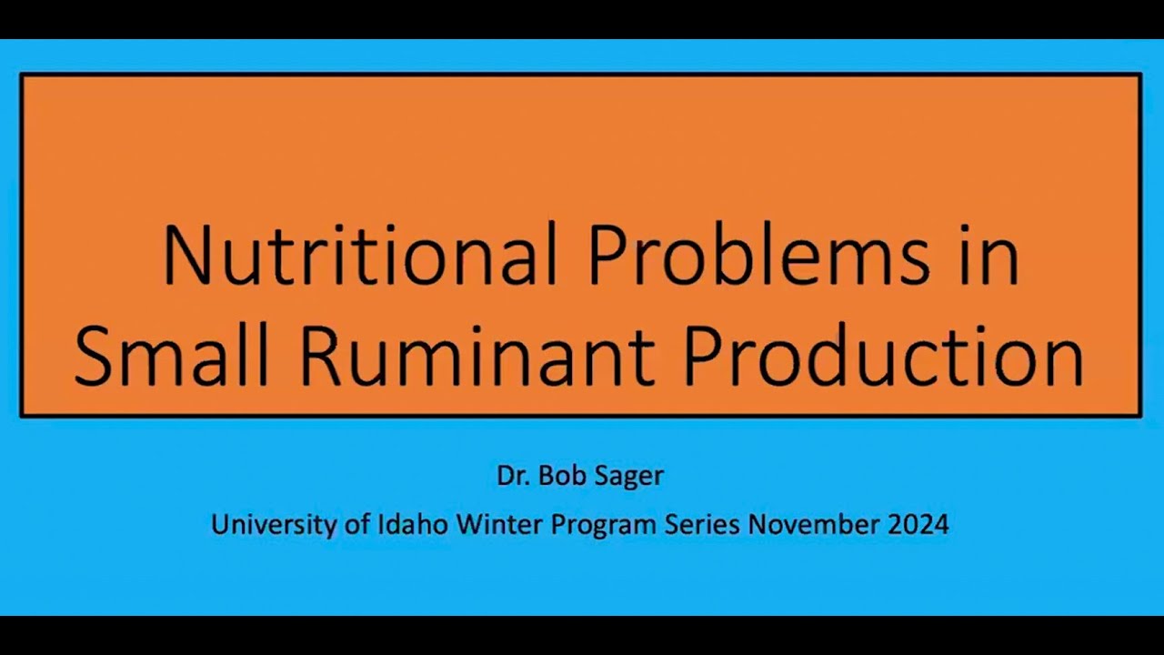 Nutritional Problems in Small Ruminant Production