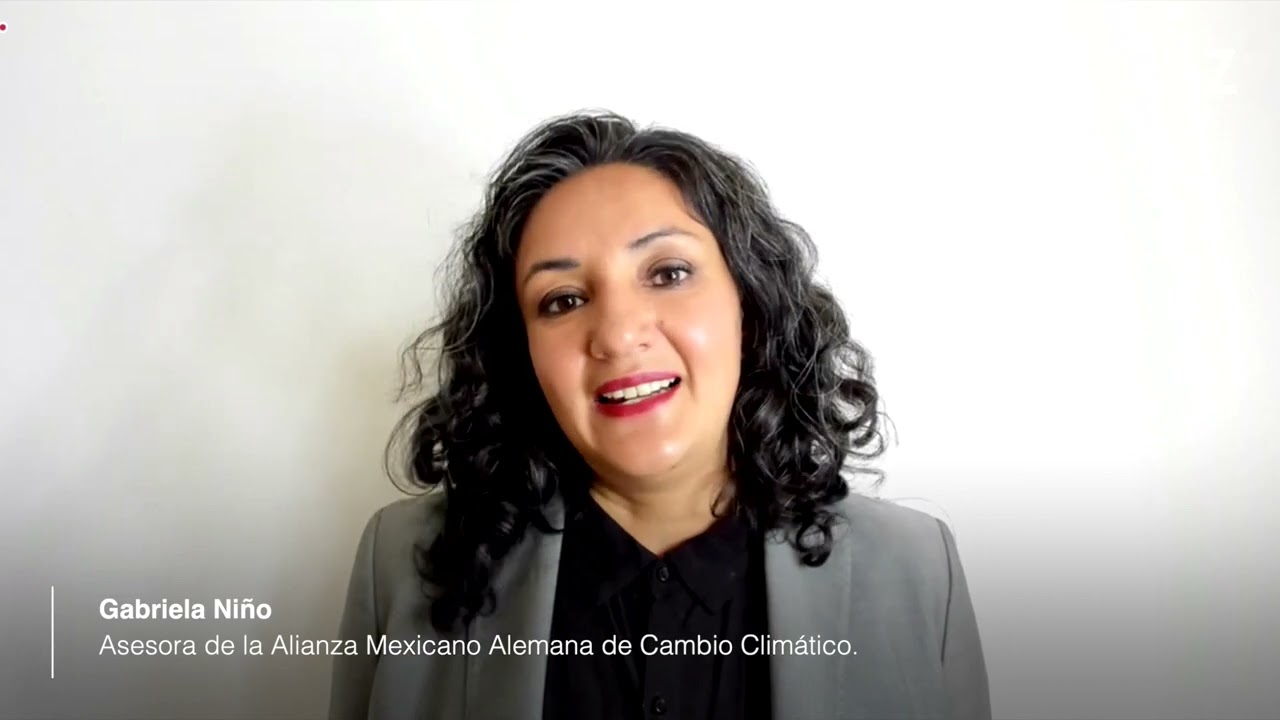 Mecanismos de implementaci&oacute;n de las metas clim&aacute;ticas nacionales, a trav&eacute;s del financiamiento