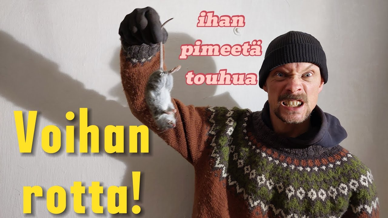 Rottia kanalassa!! 😱😡