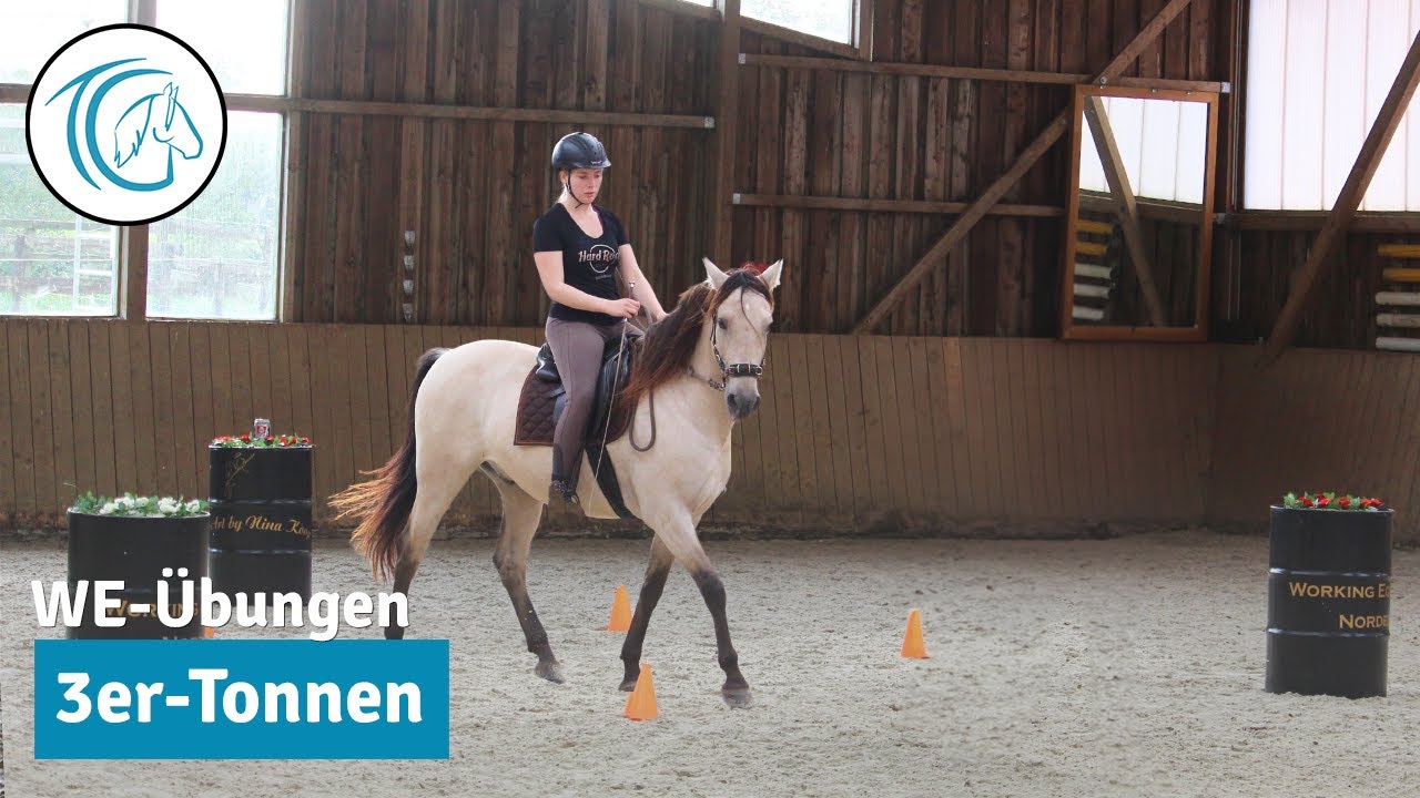 Working Equitation Übungen - 3er Tonnen