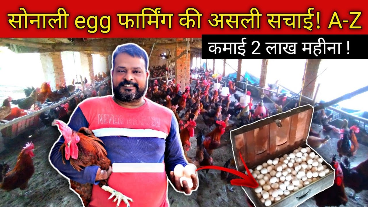 सोनाली egg फार्मिंग की असली सचाई! A-Z पूरी जानकारी । कमाई 2 लाख महीना !