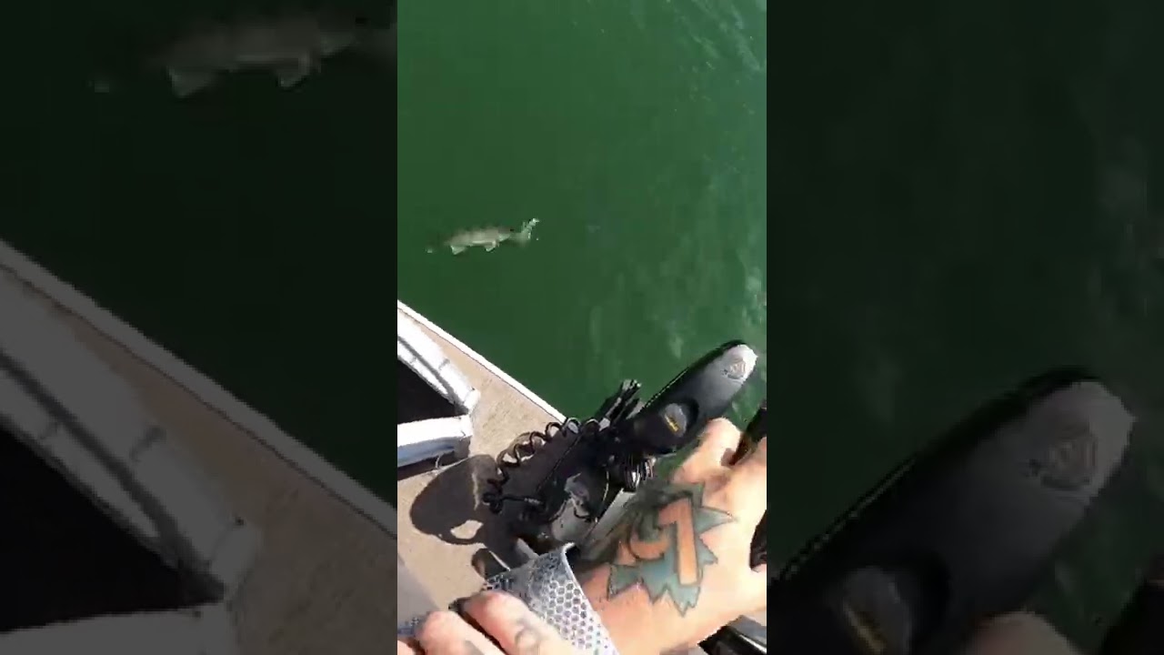 Love that clear water! 