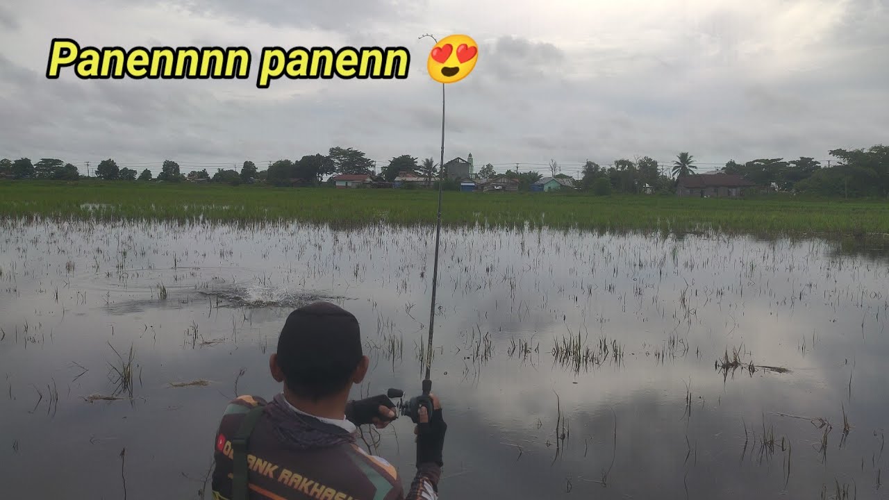 BARU KALI INI SAYA PANEN DI SPOT INI || CASTING GABUS BANJARMASIN