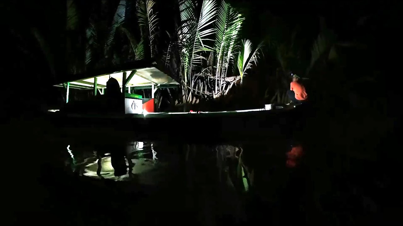 Dapat banyak udang besar saat fishing camp and cooking