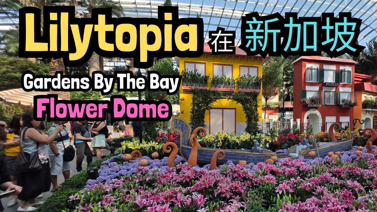 【新加坡必去】全新 Lilytopia 花卉展开放啦 | Flower Dome 沉浸式赏花之旅 | 滨海湾花园