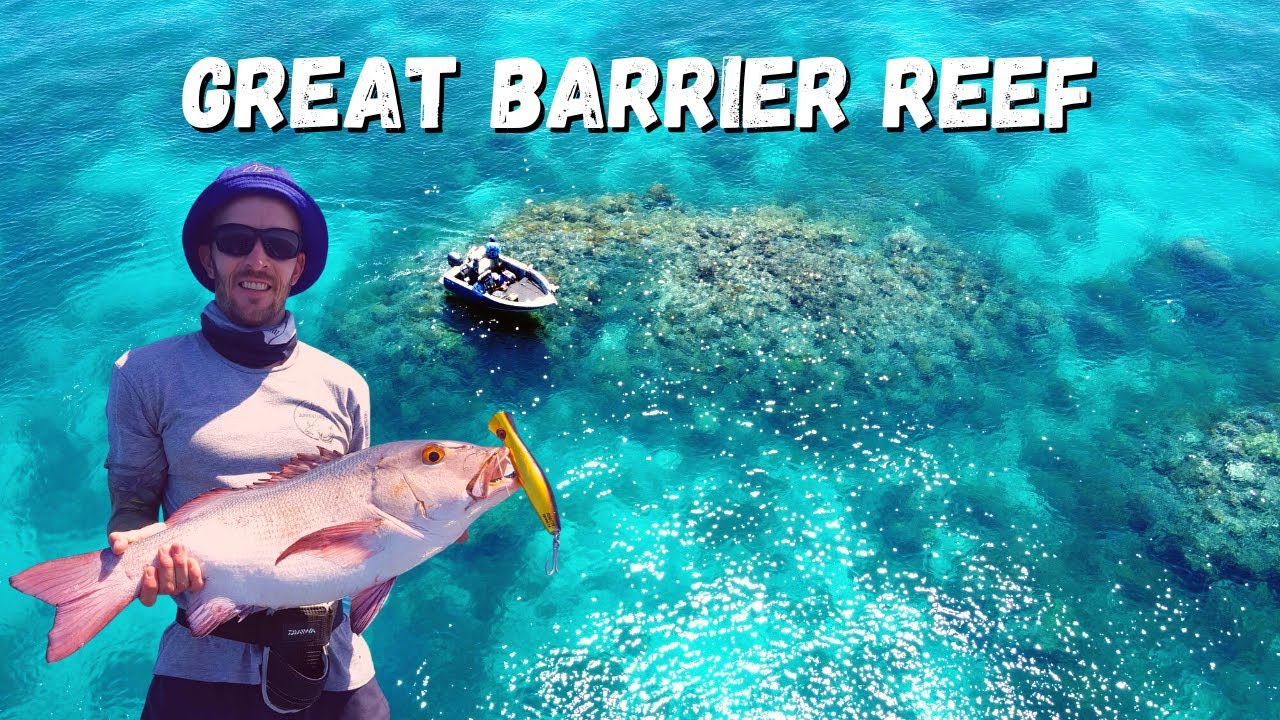 FISHING the GREAT BARRIER REEF (catching squid in Crystal clear waters)
