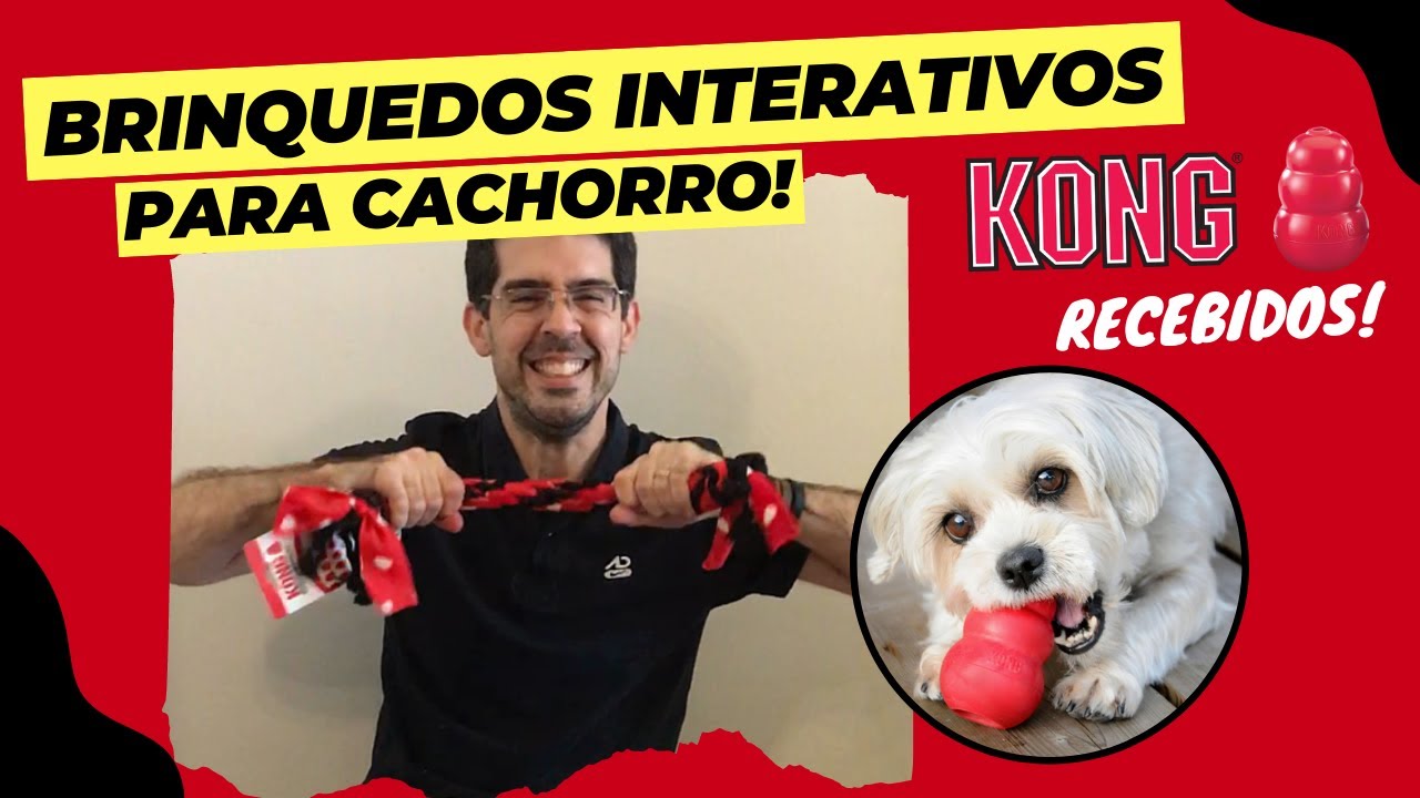 Brinquedos Interativos para cães da KONG - Recebidos da Lumare Import