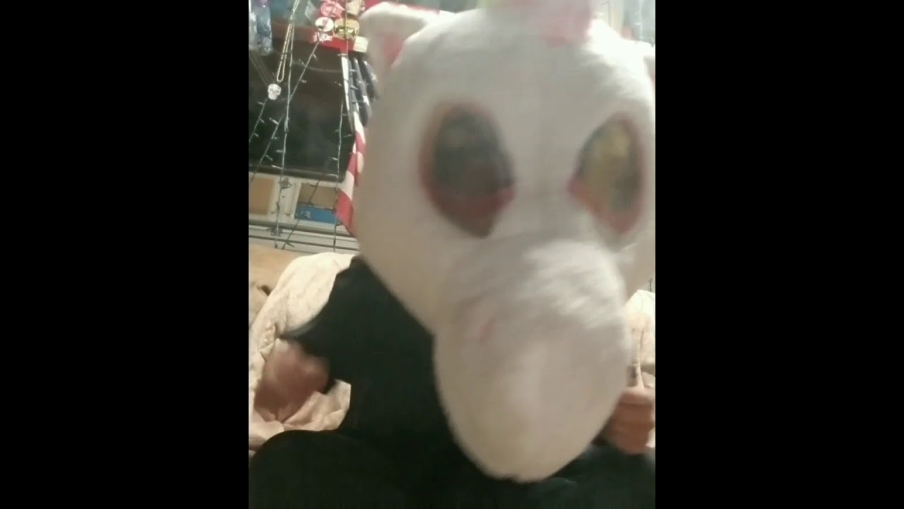 Smokin in maskimals