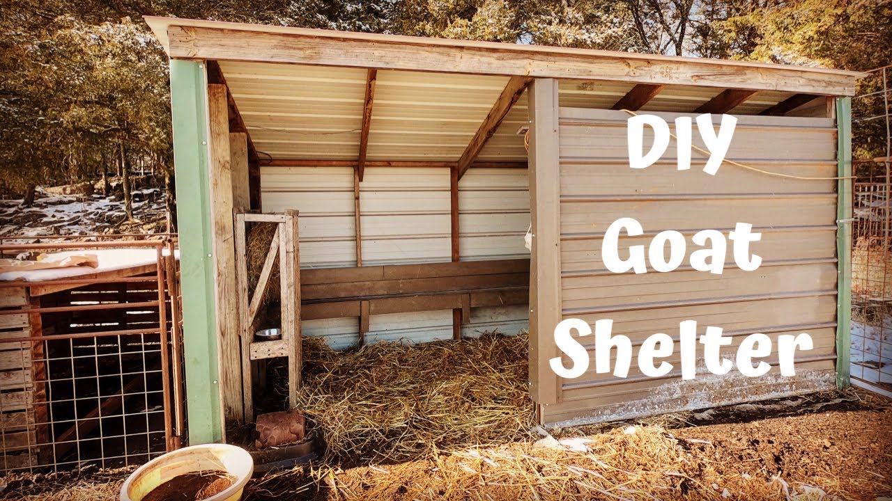 DIY Goat Shelter Made From Recycled Materials! | Kiko Goats!