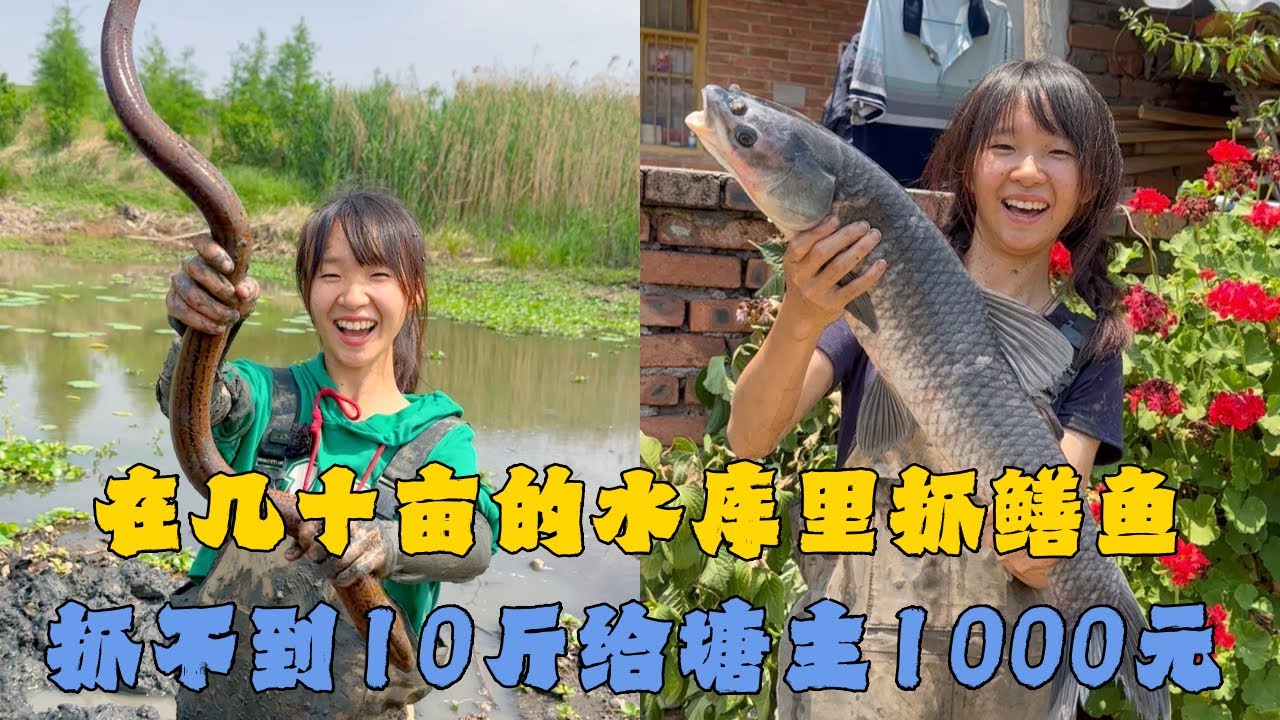 幺妹在几十亩的水库里抓鳝鱼，抓不到10斤给塘主1000元，到底能否成功上岸？