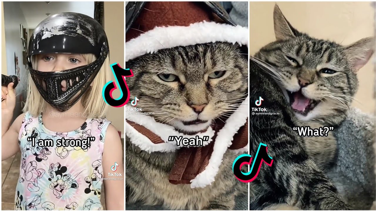 Penny is thrown out of a plane ahhh! Penny the talking cat/Singing cat