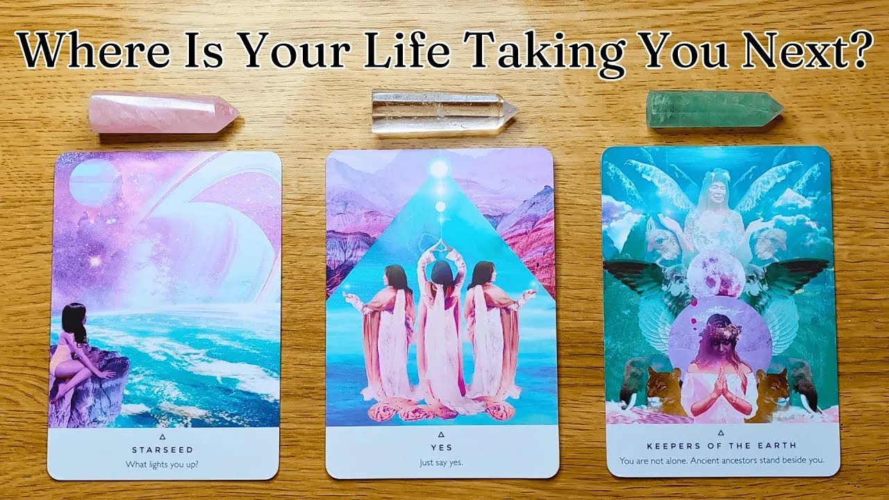 WHERE IS YOUR LIFE TAKING YOU NEXT  Pick A Card  Timeless Tarot Reading