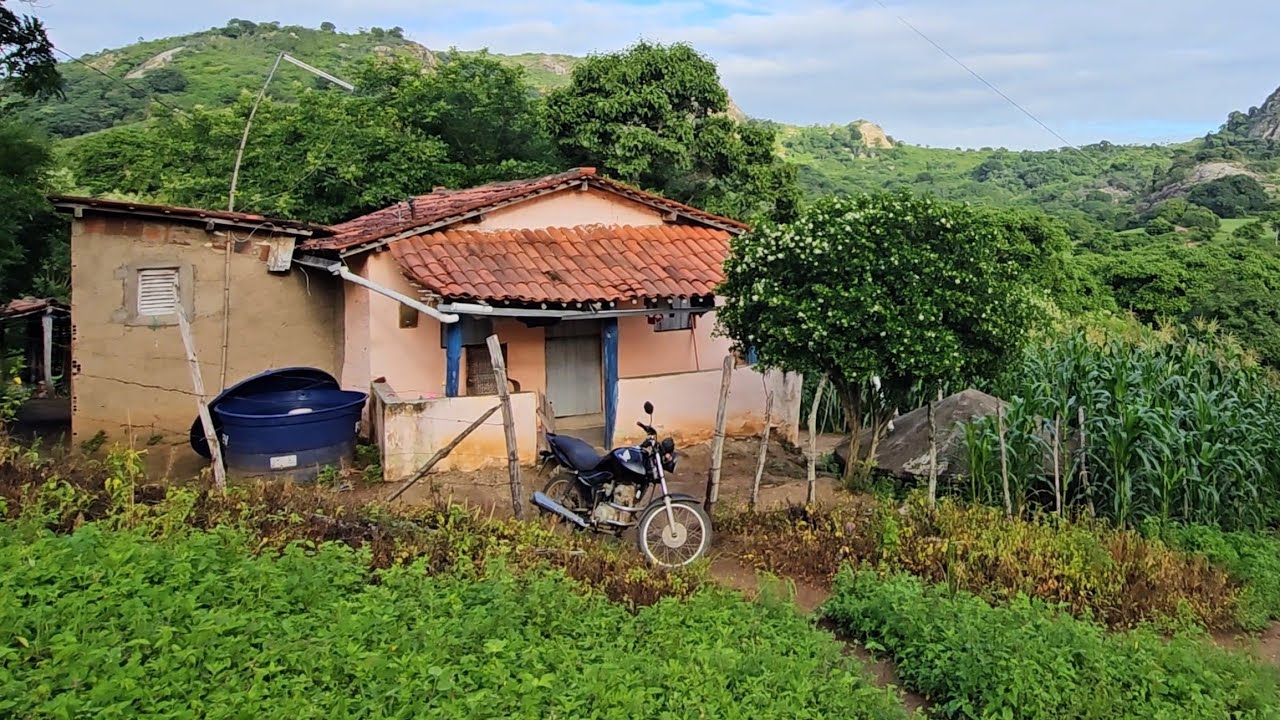 Dia 16 de abril interior da paraiba regi&atilde;o nordeste do Brasil 🇧🇷