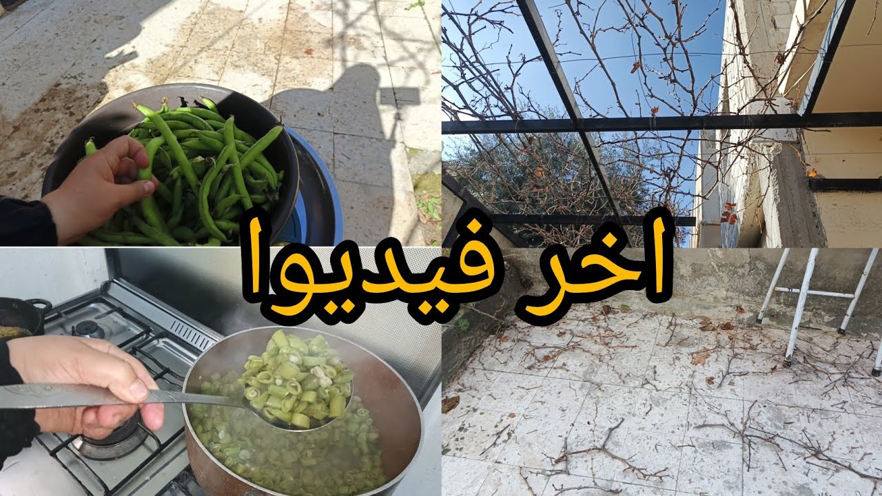 اخر فيديوا على قناتي 🌹تقليم شجرة العنب وتفريز الفول يوم رمضاني بإمتياز 