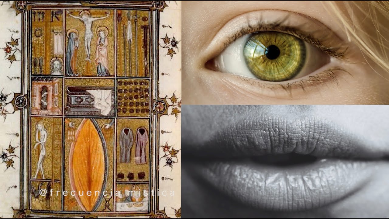 VESICA PISCIS: el símbolo de la creación | Geometría Sagrada | Flor de la Vida