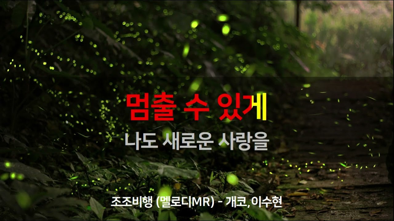 조조비행 (멜로디MR / MR노래방 / Karaoke) | 개코,이수현 | MusicSum Karaoke