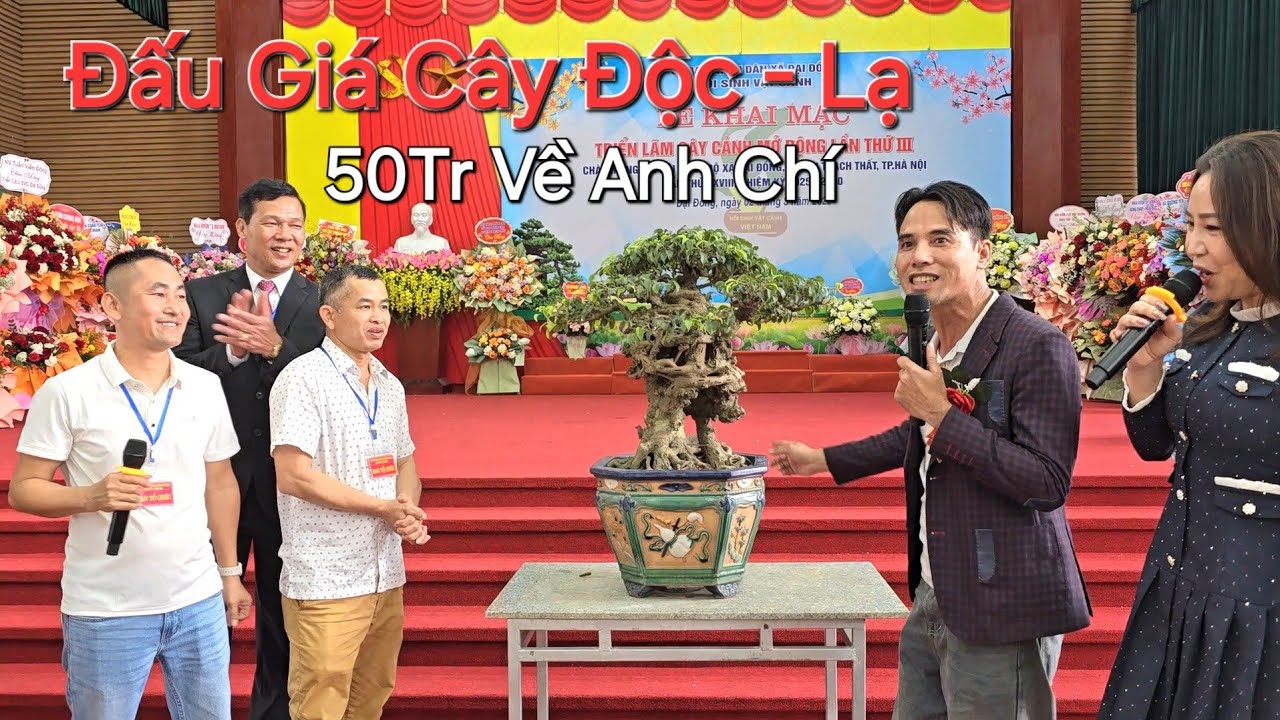 2 PHIÊN ĐẤU GIÁ CÂY KỊCH TÍNH * anh CHÍ đấu giá thành công CÂY ĐỘC - LẠ 50 TR * TL ĐẠI ĐỒNG .