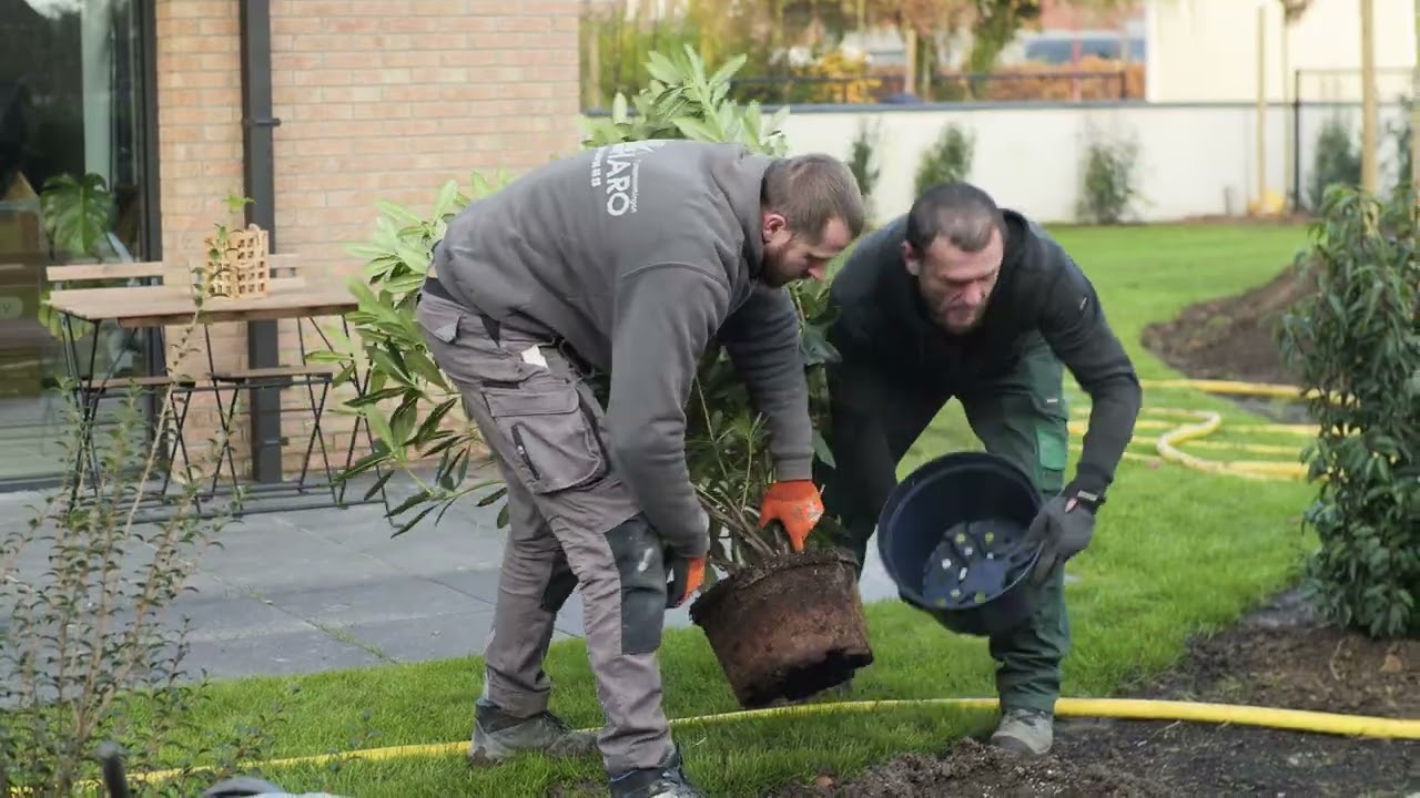 Haro Tuinaannemingen realiseert buitenaanleg bij Greenhouse Lint