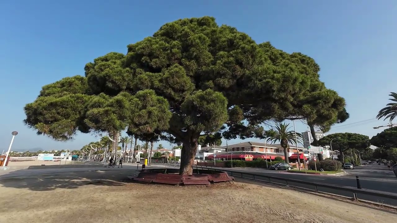 Slow Walk by the Sea | Vilafortuny & Cambrils Promenade