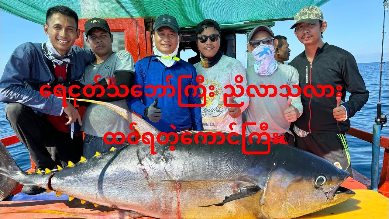 ရေငုတ်သဘော်ကြီး ချိတ်နဲ့ညိလာတာ မှတ်တာ။ Yellow fin Tuna ကြီး ဖြစ်နေတယ်။😲😲။ #fishing  #yellowfintuna