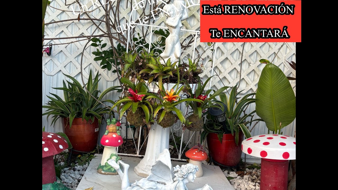 RECORRIDO por la RENOVACION de un espacio de mi JARDIN que te hará ADORAR a la NATURALEZA.