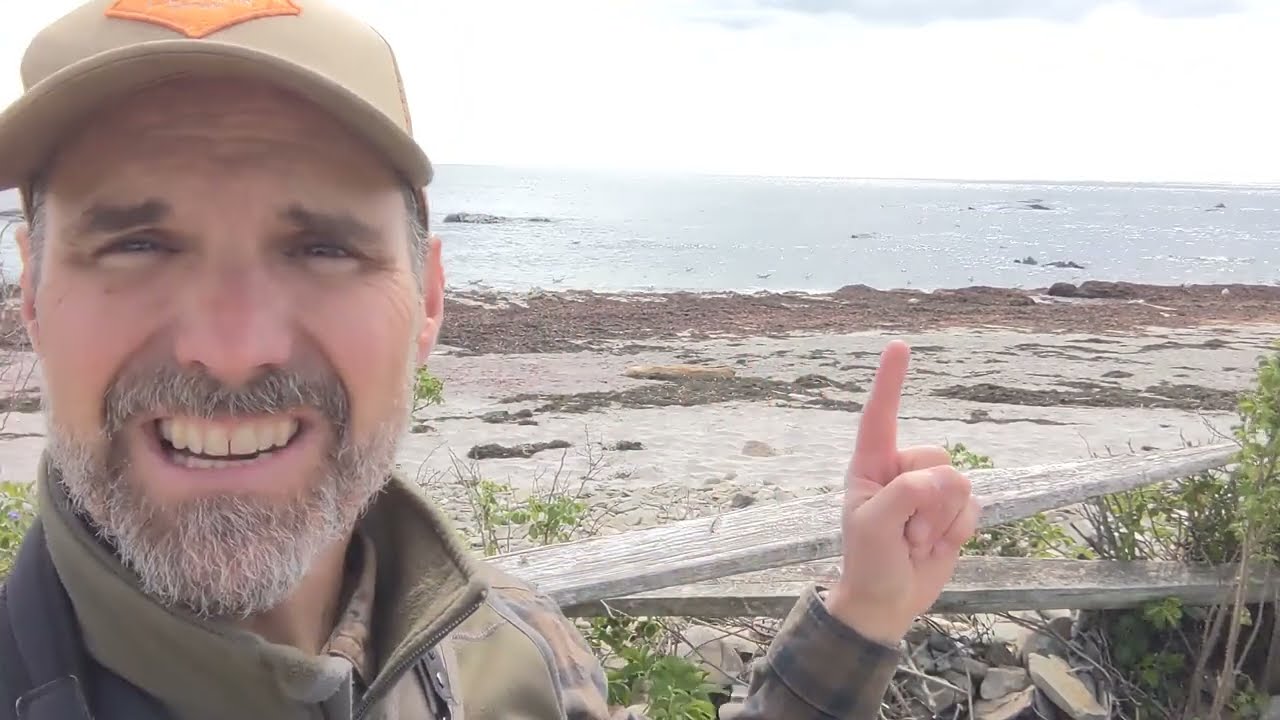 What the Wrack?? Learn a Bird Episode #48