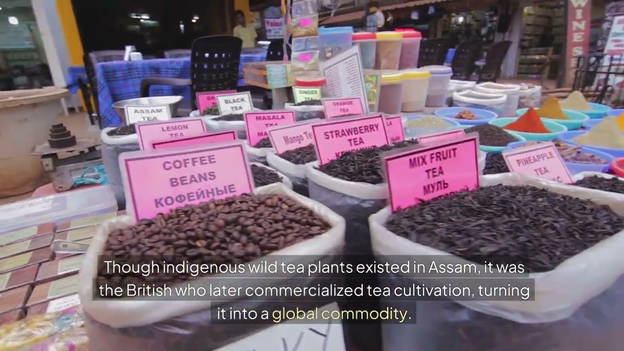 The History of Tea: From Ancient China to Global Consumption