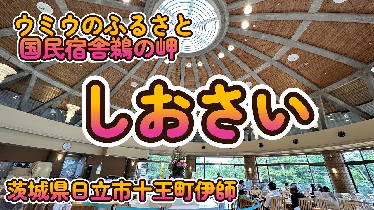 ウミウのふるさと 国民宿舎鵜の岬「しおさい」茨城県日立市十王町伊師 4K
