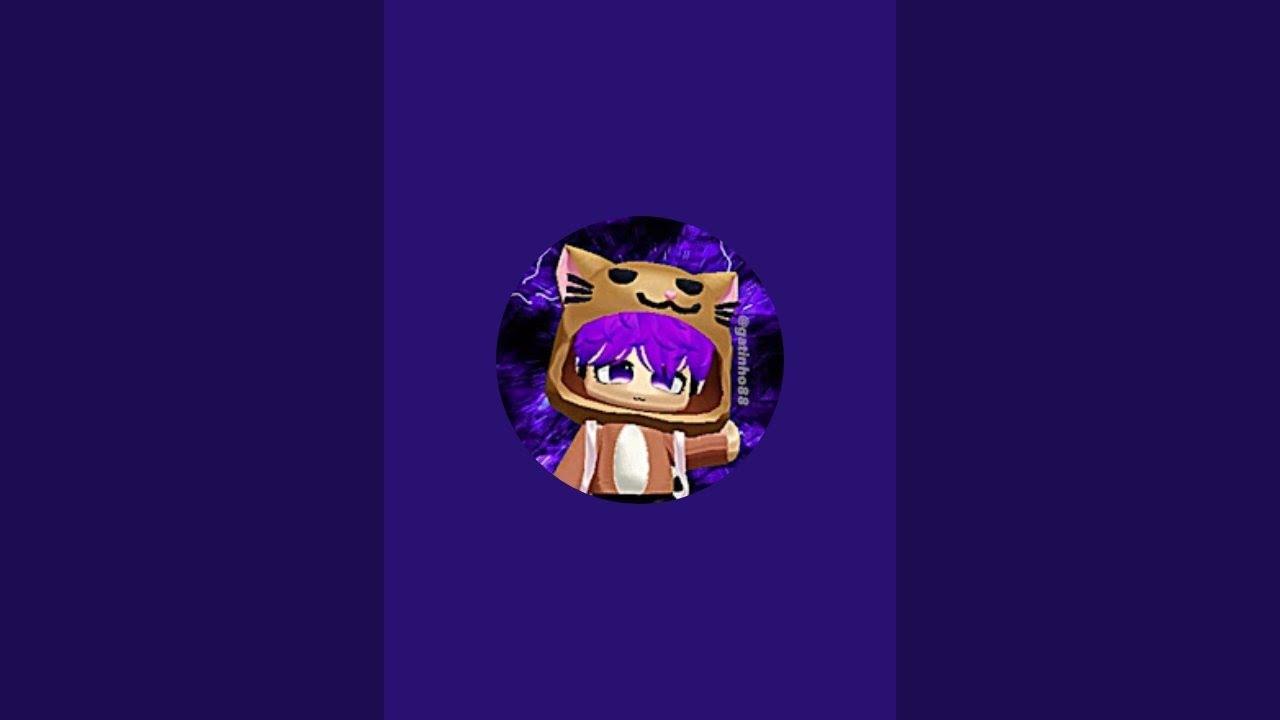 GATINHO88 está ao vivo!