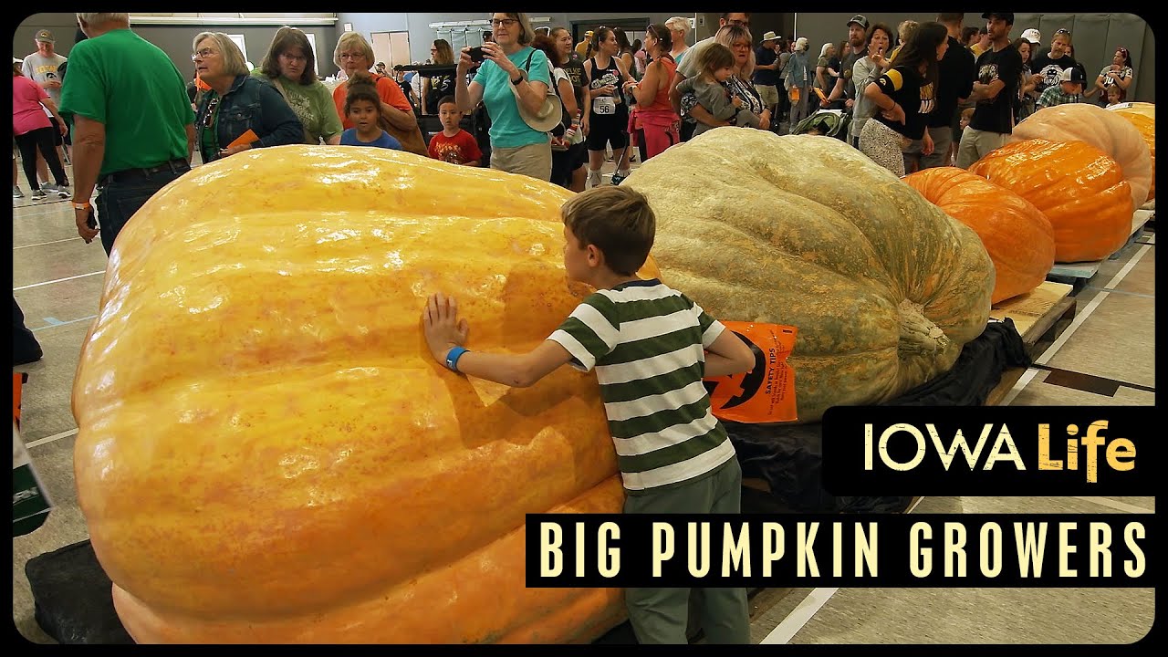 Big Pumpkin Growers | Iowa Life
