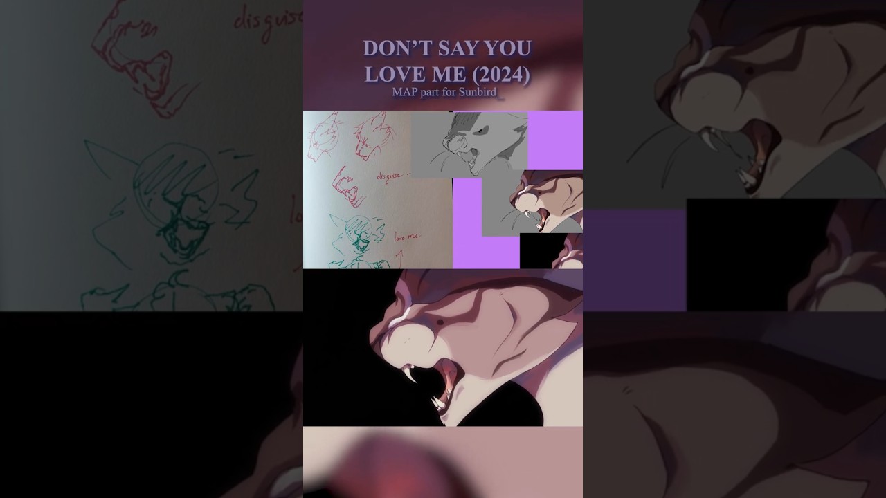 Boards + Final Animation | DON'T SAY YOU LOVE ME