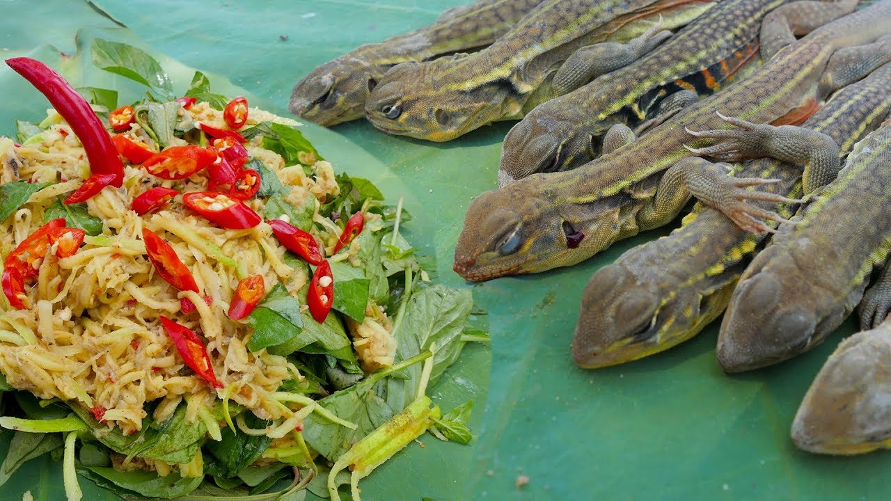 Super Quick Survival Butterfly Lizard Trap - Catch n Cook Lizard  - Traditional Cambodia  Food