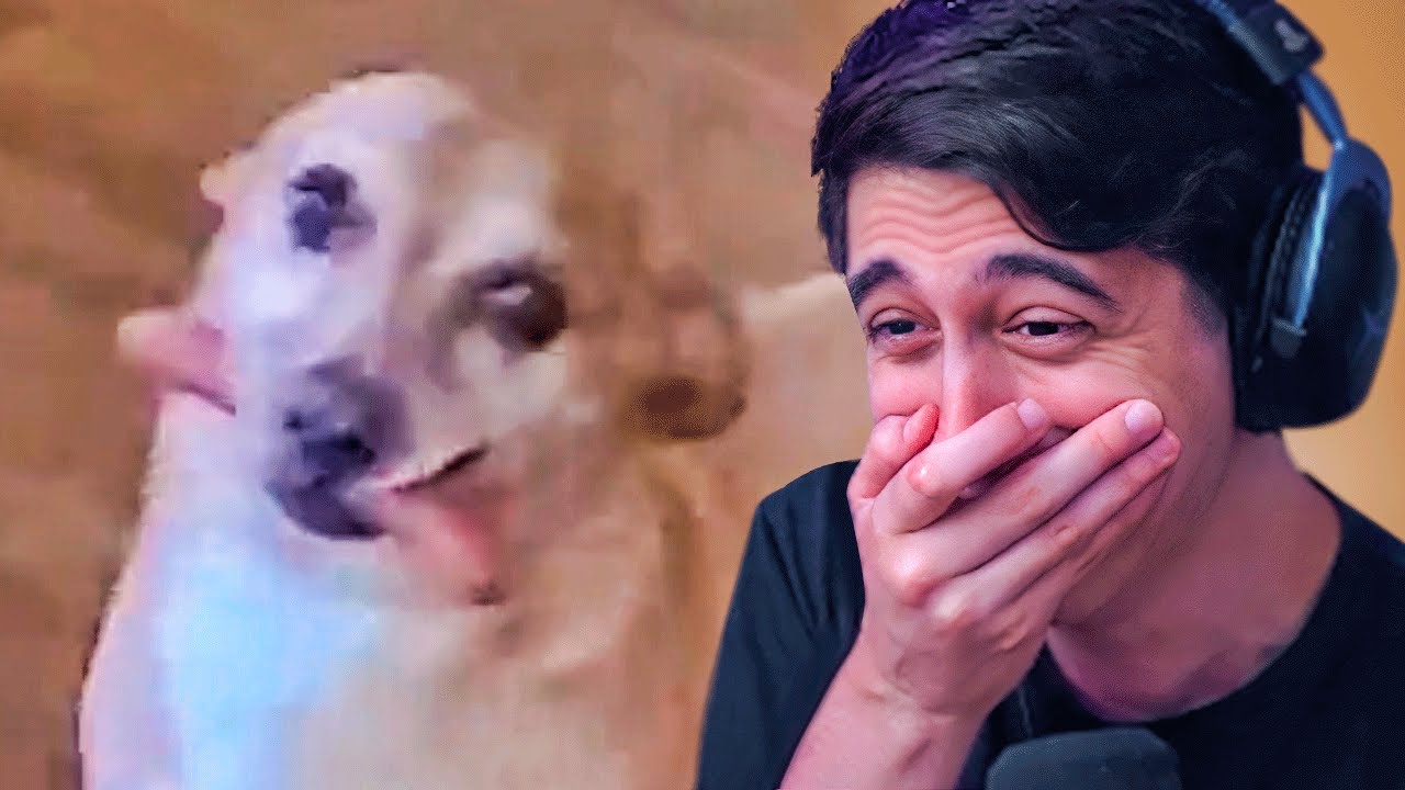 MEMES INUSUALES #14