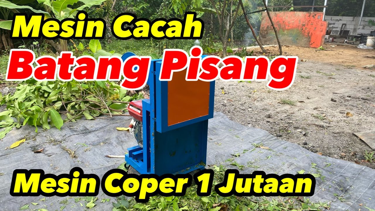 Tes Mesin Cacah Batang Pisang | Mesin Cacah Ramban dan rumput