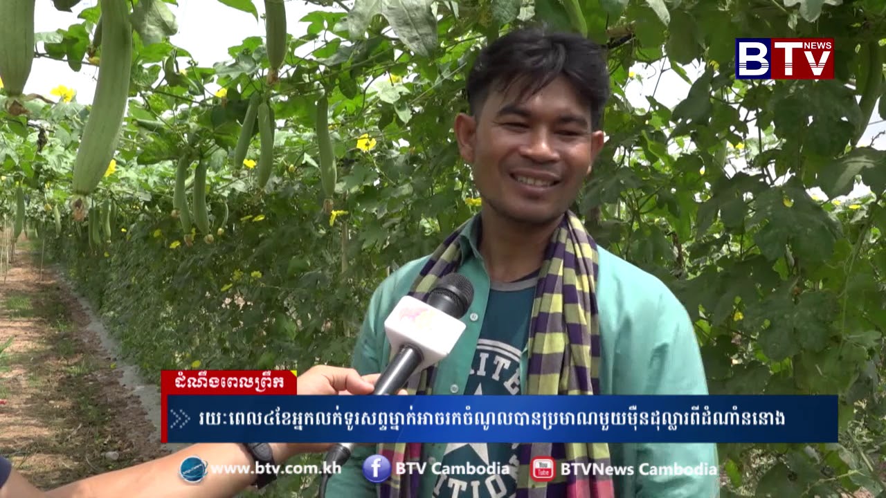 រយៈពេល៤ខែអ្នក​លក់​ទូរសព្ទម្នាក់​អាចរកចំណូល​បាន​ប្រមាណ​មួយ​ម៉ឺន​ដុល្លារ​ពីដំណាំ​ននោង
