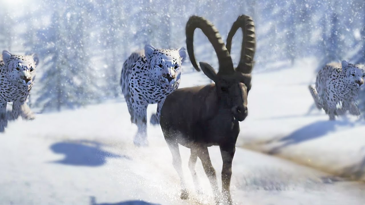 Wild Leopard Simulator -Jungle Survival 3D Game