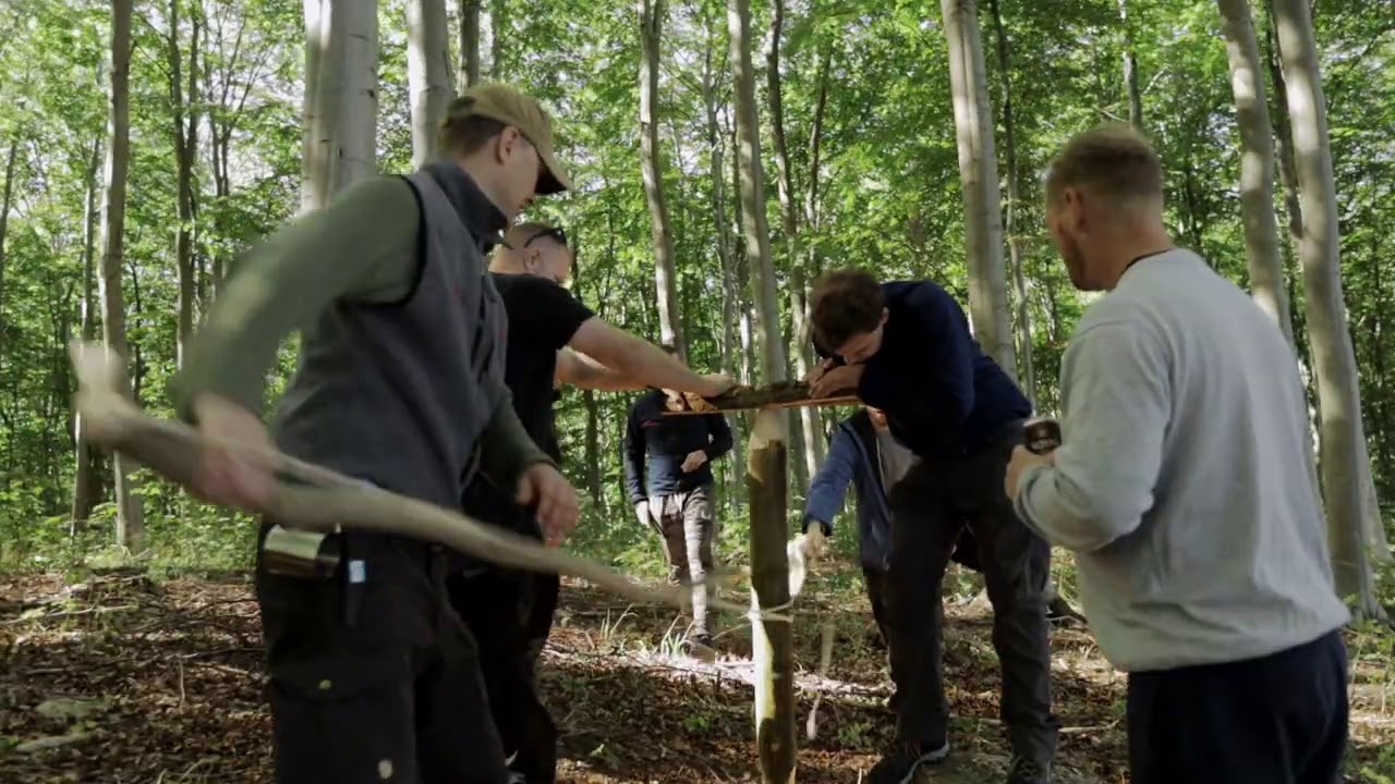Outdoor Team building