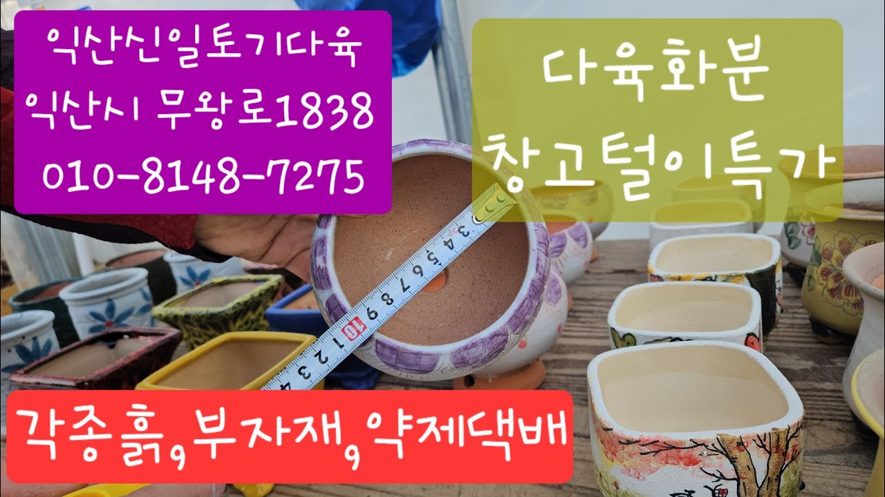(익산신일토기다육)#다육화분#010-8148-7275#창고털이특가♡기간한정#카드결제가능