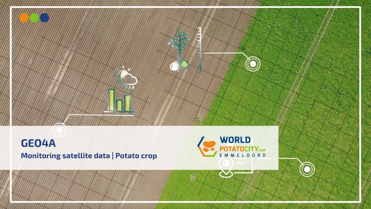 Monitoring satellite data in agriculture 🛰️  | GEO4A Company video