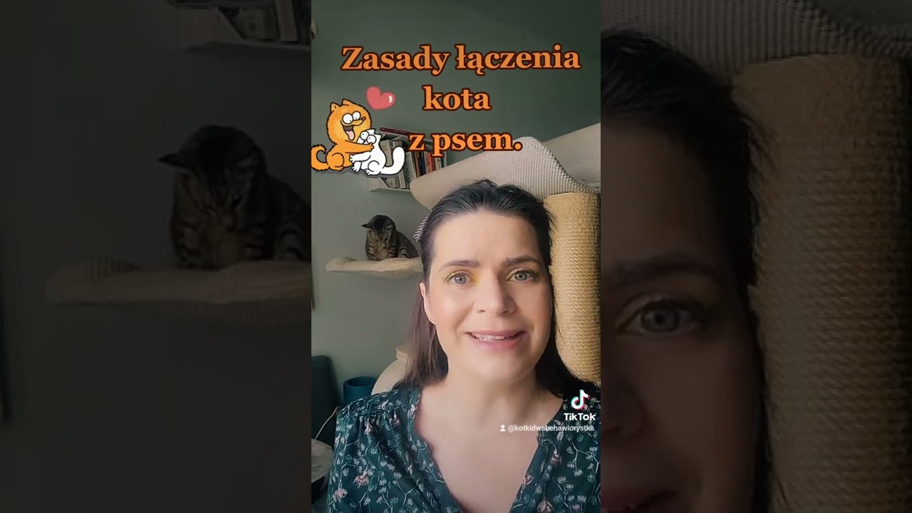 Co brać pod uwagę przy łączeniu kota z psem?