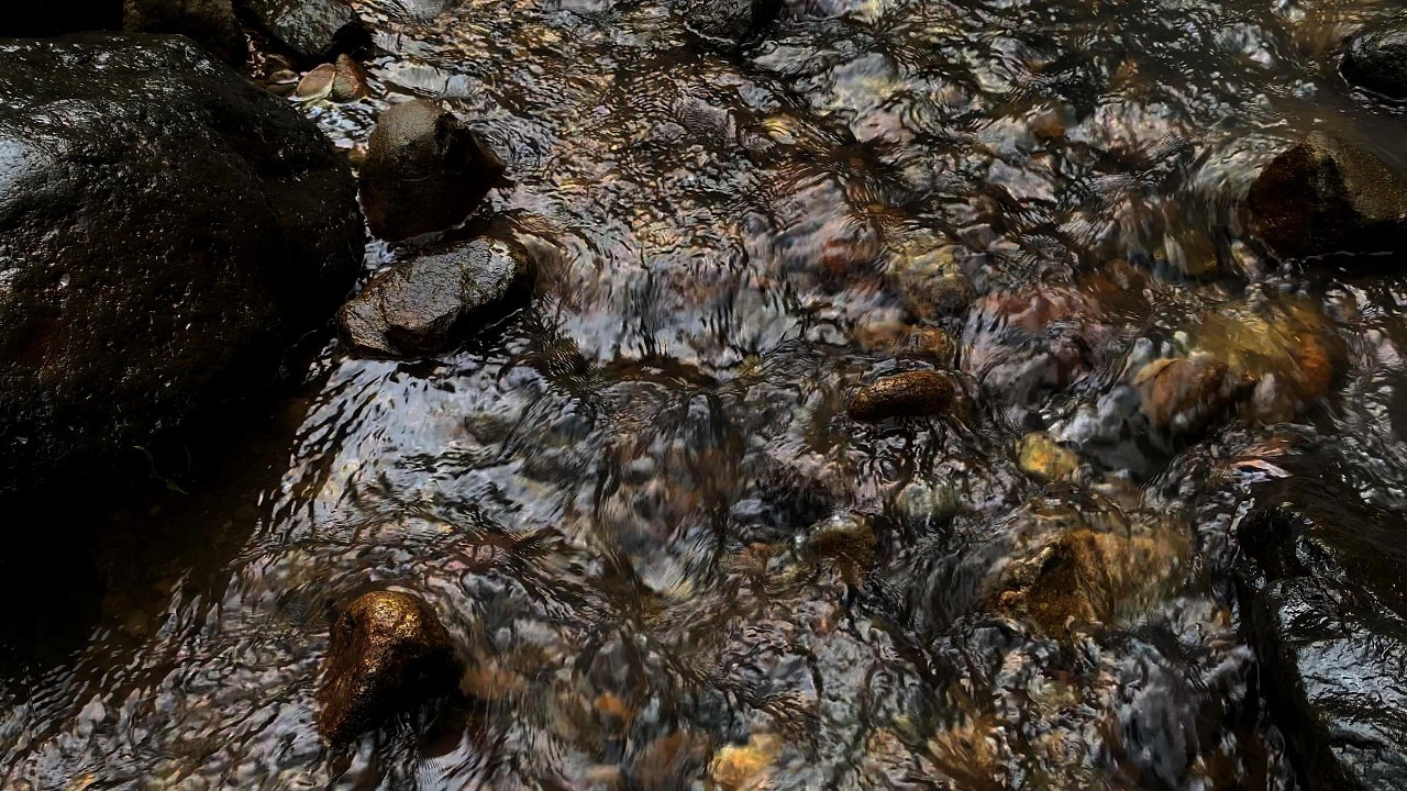 Relaxing River Sounds for Deep Sleep | Calm Forest Water Ambience